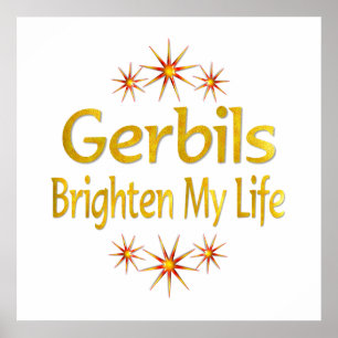 Pôster Os Gerbils iluminam minha vida