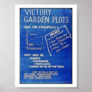Poster Os lotes do jardim de vitória, livram para