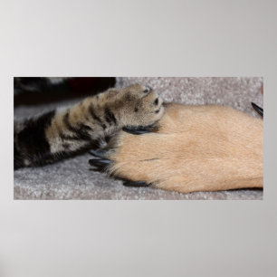 Pôster Os melhores amigos para sempre de Shirley Taylor