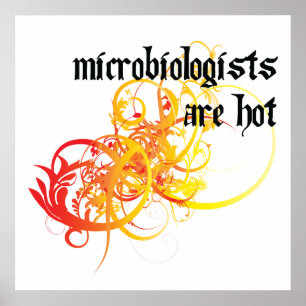 Pôster Os microbiologista estão quentes