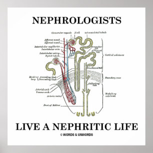 Pôster Os Nephrologists vivem uma vida Nephritic