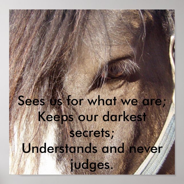 Poster Os Olhos da Sabedoria (Frente)