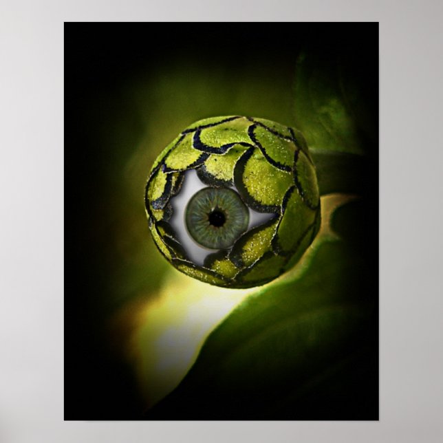 Poster Os Olhos Vão Te Ver No Jardim, Hoje À Noite! (Frente)