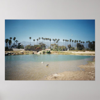 Poster Os Papais noeis na costa de Barbara