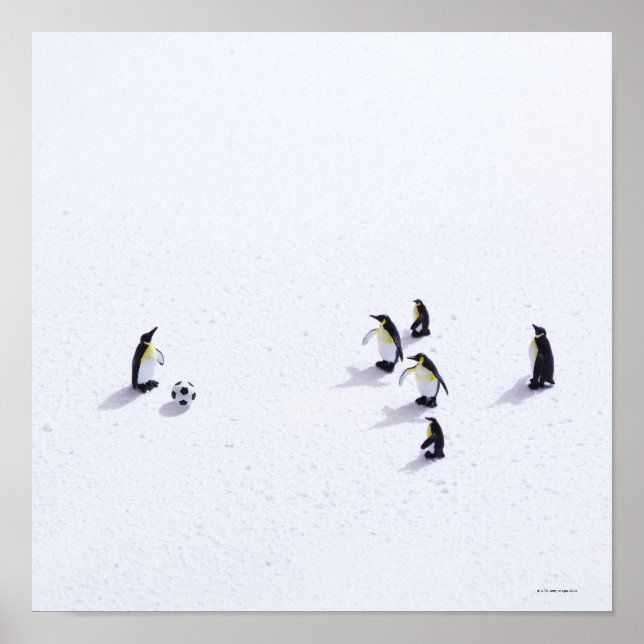 Pôster Os pinguins jogando futebol (Frente)