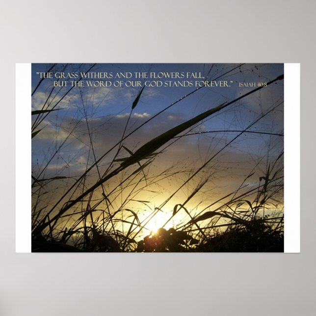 Pôster Os Retentores De Grass (Frente)