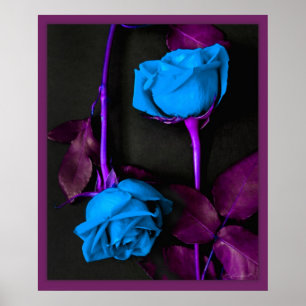 Poster Os rosas azuis imprimem -20x24 - outro fazem sob