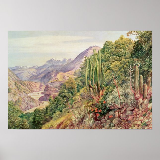 Poster Os Streams de Línguas em Cordellera, Chile (Frente)