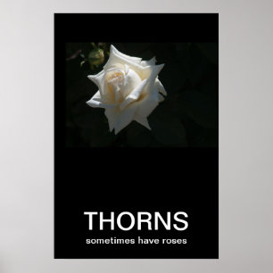 Poster Os Thorns Às Vezes Têm Rosa Demotivacional