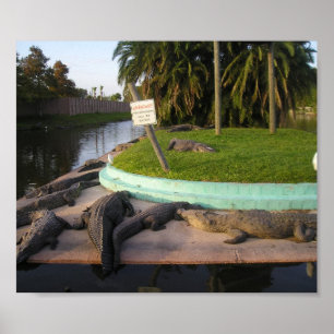 Pôster Os Trespassers serão comidos!