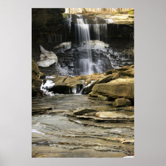 Poster Os últimos remanescentes do inverno