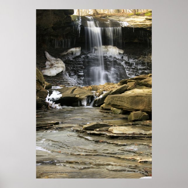 Poster Os últimos remanescentes do inverno (Frente)