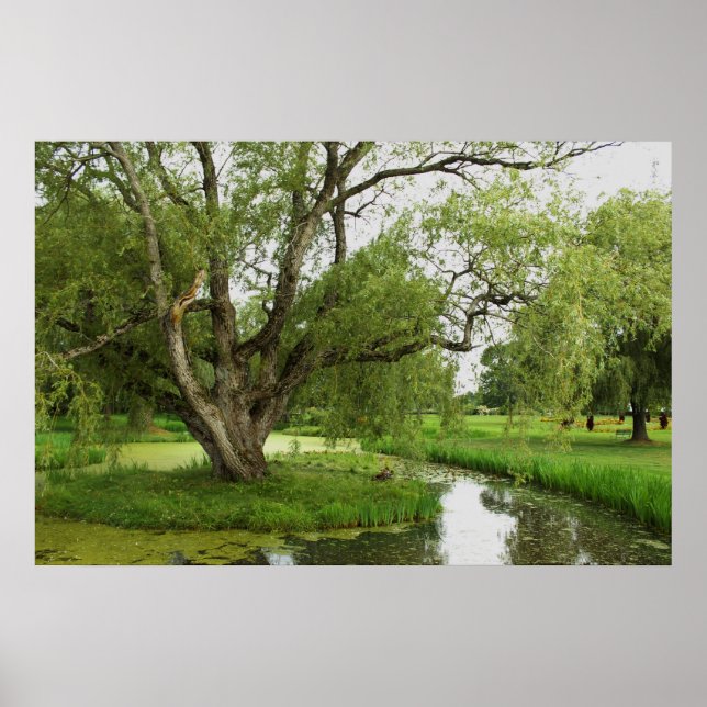 Poster Os verdes de grande pre (Frente)