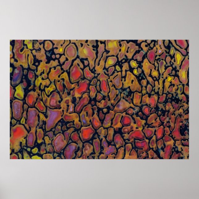 Poster Osso do Dinossauro Padrão (Frente)