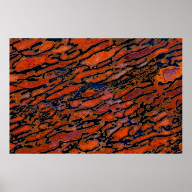 Pôster Osso do dinossauro Petrificado vermelho (Frente)