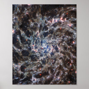 Poster Ossos da Galaxy IC5332 do JWST