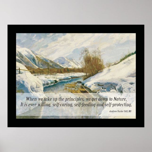 Pôster Osteopática - Citação por A.T. (Frente)