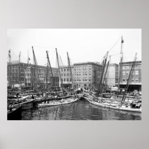 Poster Ostra Luggers