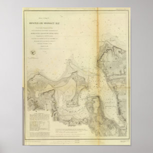 Poster Ostra ou baía de Syosset