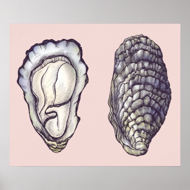 Poster Ostras (Frente)