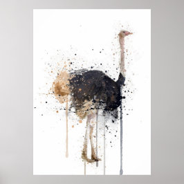 Poster Ostrich
