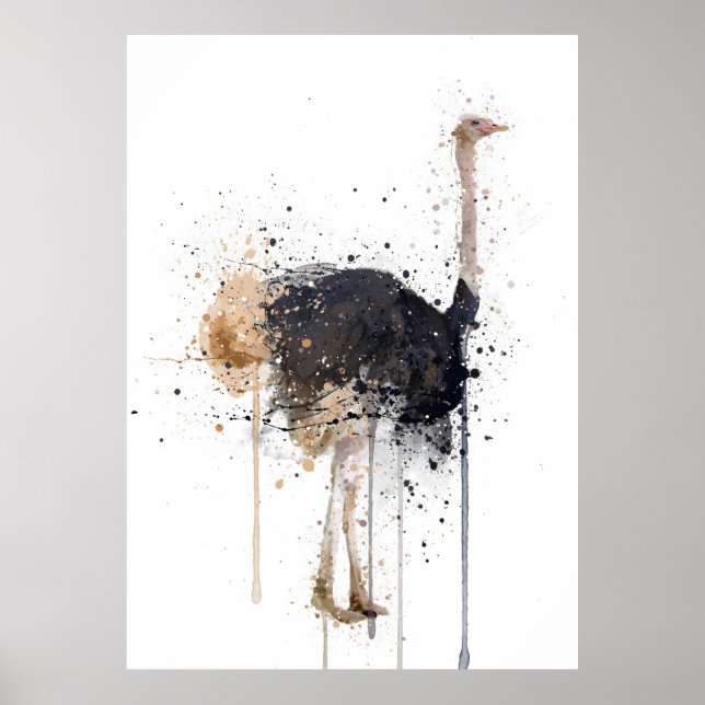 Poster Ostrich (Frente)