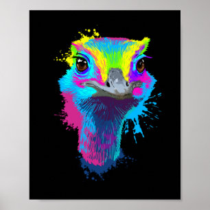 Poster Ostrich Colorful Bird Lover Ostriques