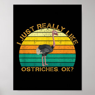 Poster Ostrich Funny Animal Quote Com Vintage Shape Desi