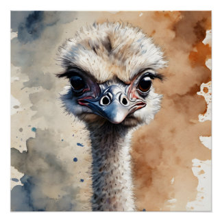 Pôster Ostrich no 1 Poster brilhante