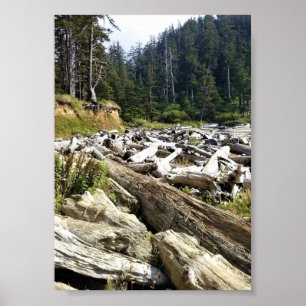 Poster Oswald West State Park, Costa do Oregon