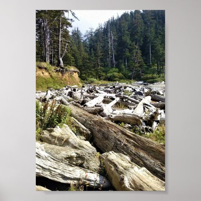 Poster Oswald West State Park, Costa do Oregon (Frente)