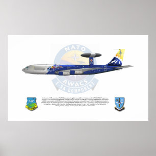 Poster OTAN E-3A, 25as marcações do aniversário