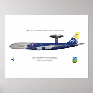 Poster OTAN E-3A, Marcações do 25