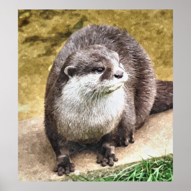 PÔSTER OTTER (Frente)