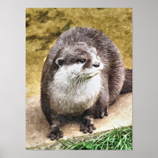 PÔSTER OTTER (Frente)