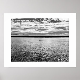 Poster Otter na Distância - Fotografia Preta e Branca