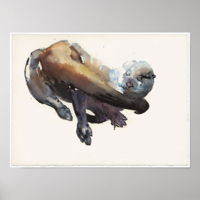 Poster Otter Study I - 'Talisker' (Frente)