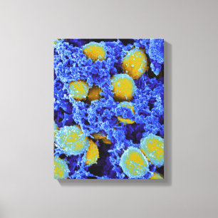 poster ou canvas da arte abstracta da