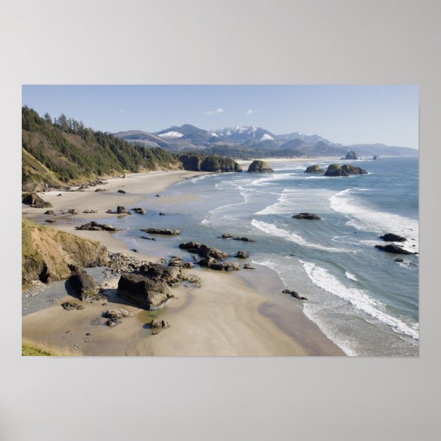 Poster OU, Costa do Oregon, Parque Estadual Ecola, Cresce (Frente)