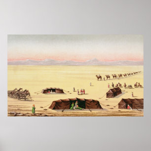 Pôster Our Desert Camp