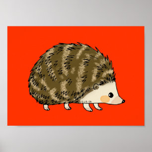 Poster Ouriço bonito