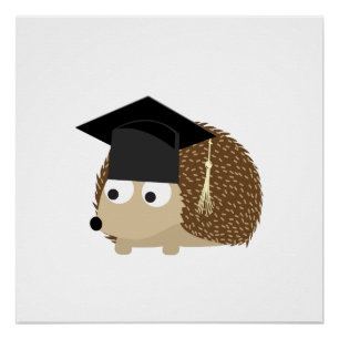Pôster Ouriço da graduação