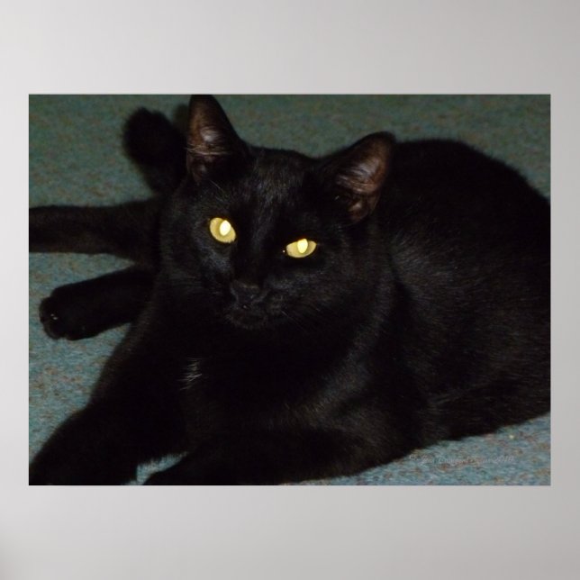 Poster Ouro (Frente)