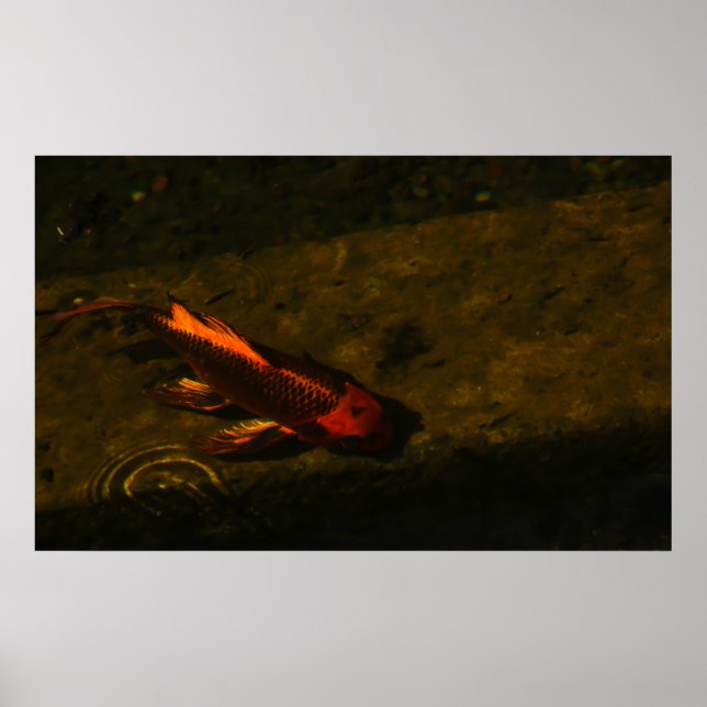 Poster Ouro! (Frente)