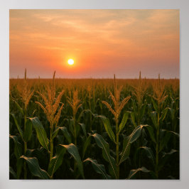 Poster Ouro Cornfield Sunset Fundo