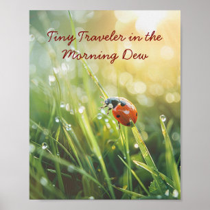 Poster Ouro de manhã Ladybug: Beleza mastigada da naturez