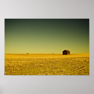 Poster ouro nada