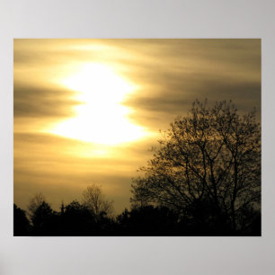 Poster Ouro por Sol com Árvores Silhuetadas