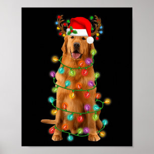 Poster Ouro Retriever Árvore de Natal Luz Pajama