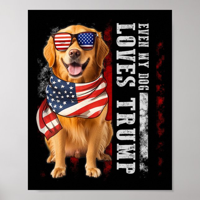 Poster Ouro Retriever Até Meu Cachorro Adora Trump Engraç (Frente)